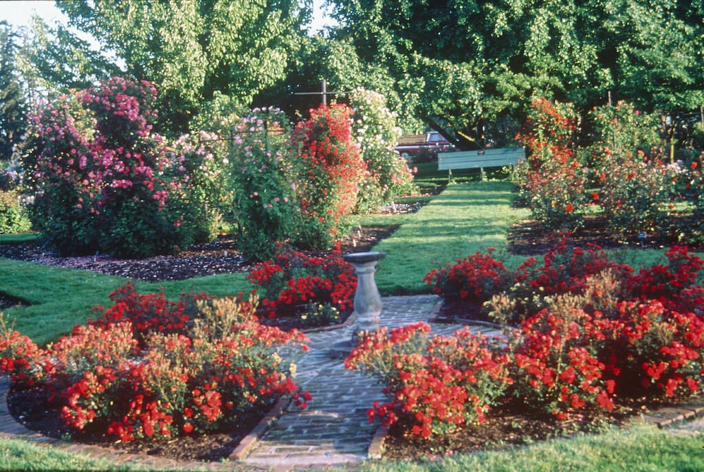 Well-maintained garden