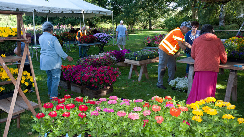 Art Fair Plant Sale, 2016 – 2