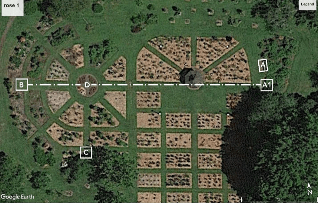 Bird’s eye view of a park