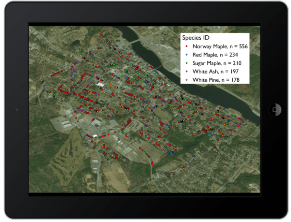 Screen showing tree data collected with EOS Arrow 1