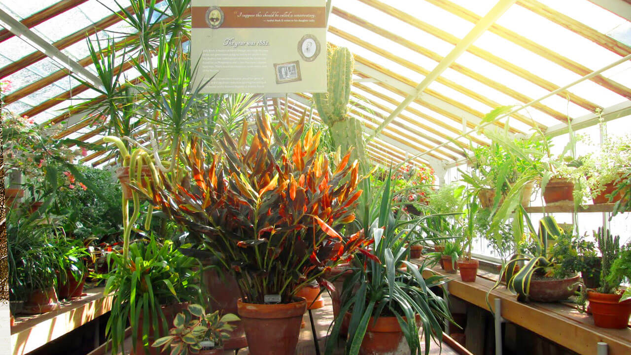 home-the-conservatory-and-gardens The conservatory and gardens